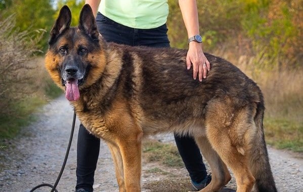 Zázračné zotavení po boji o život