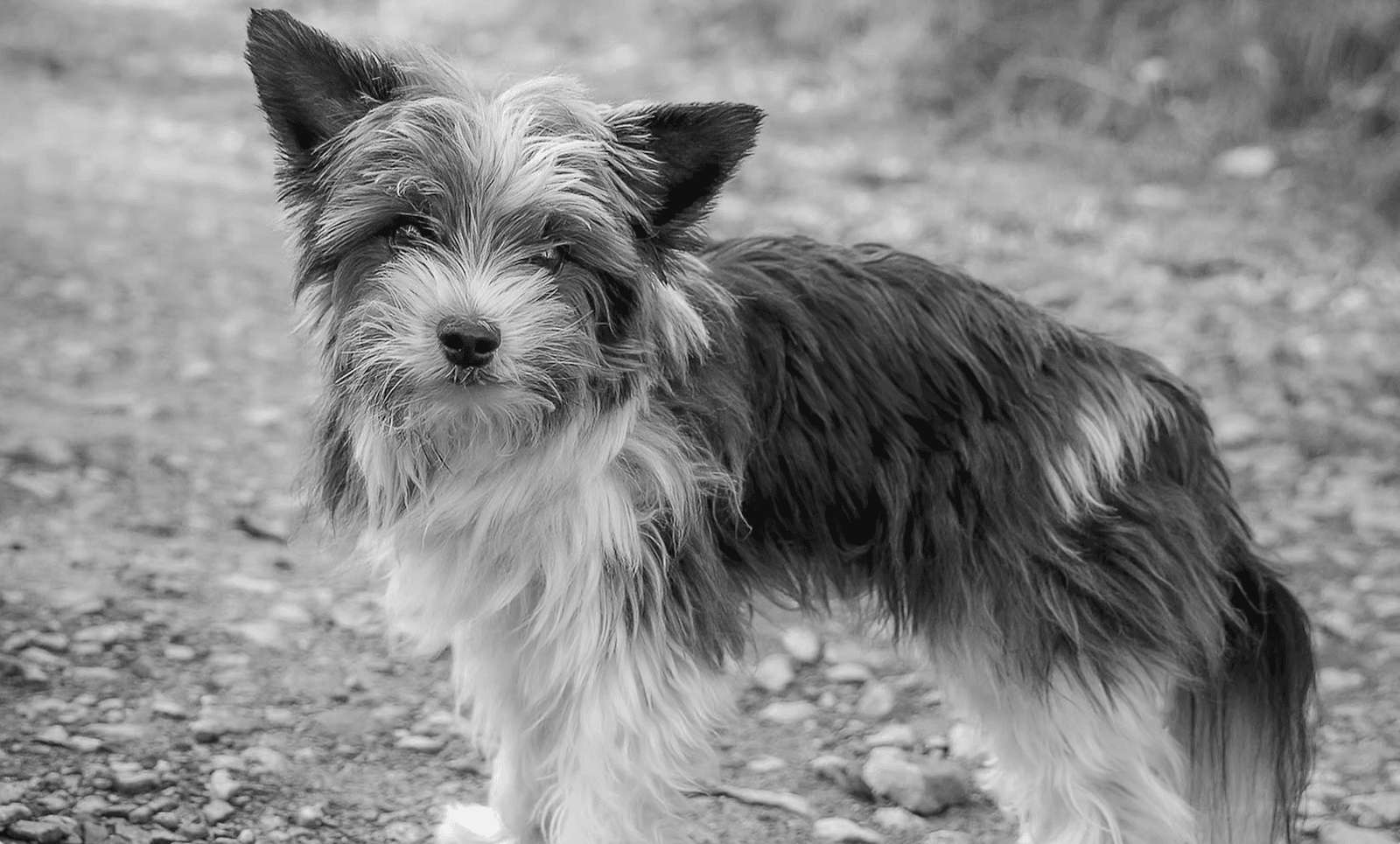 Sbírka: Drahé komplexní vyšetření pro Adýska