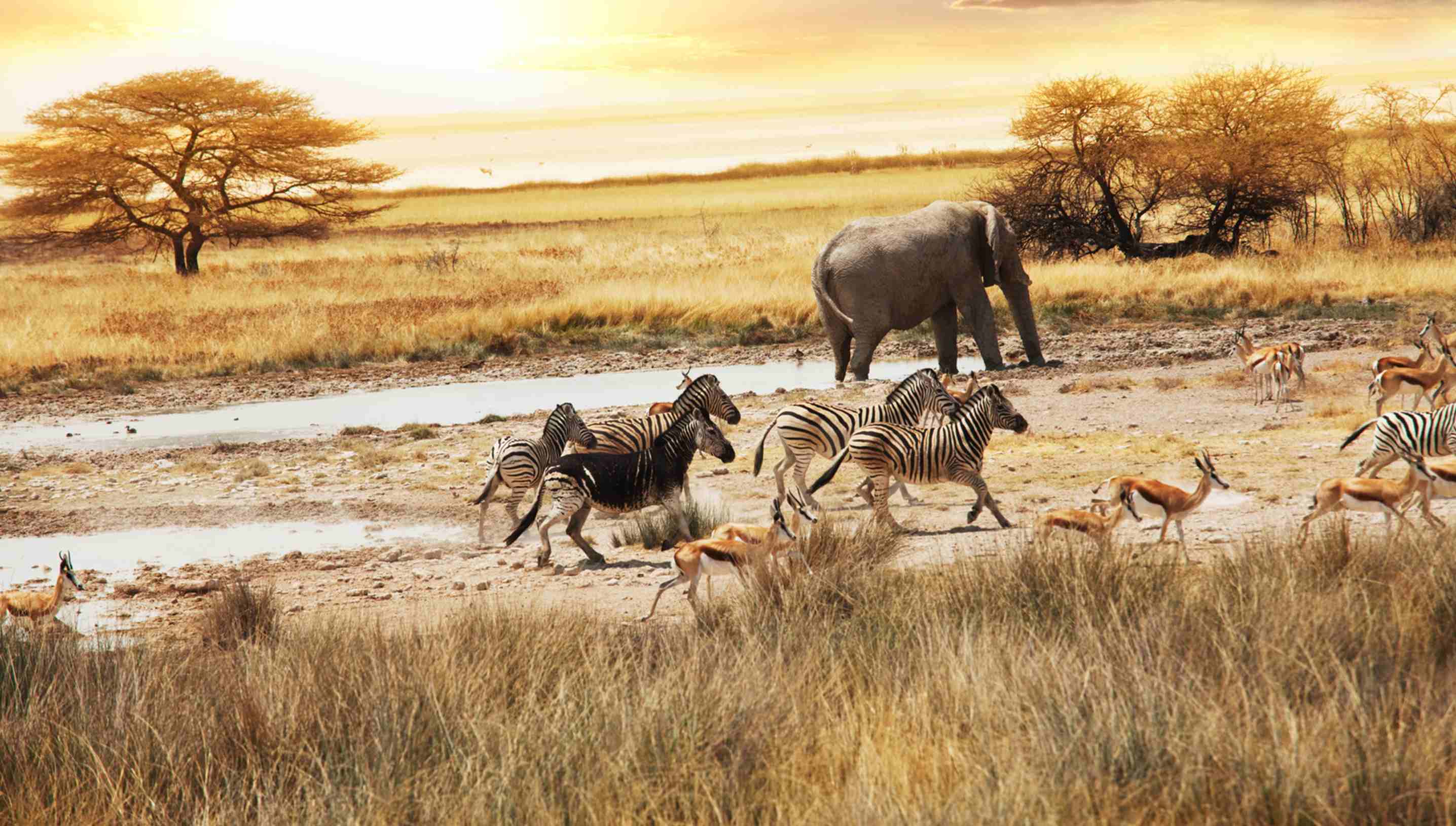 Where Did the $499,531 You Donated Help?