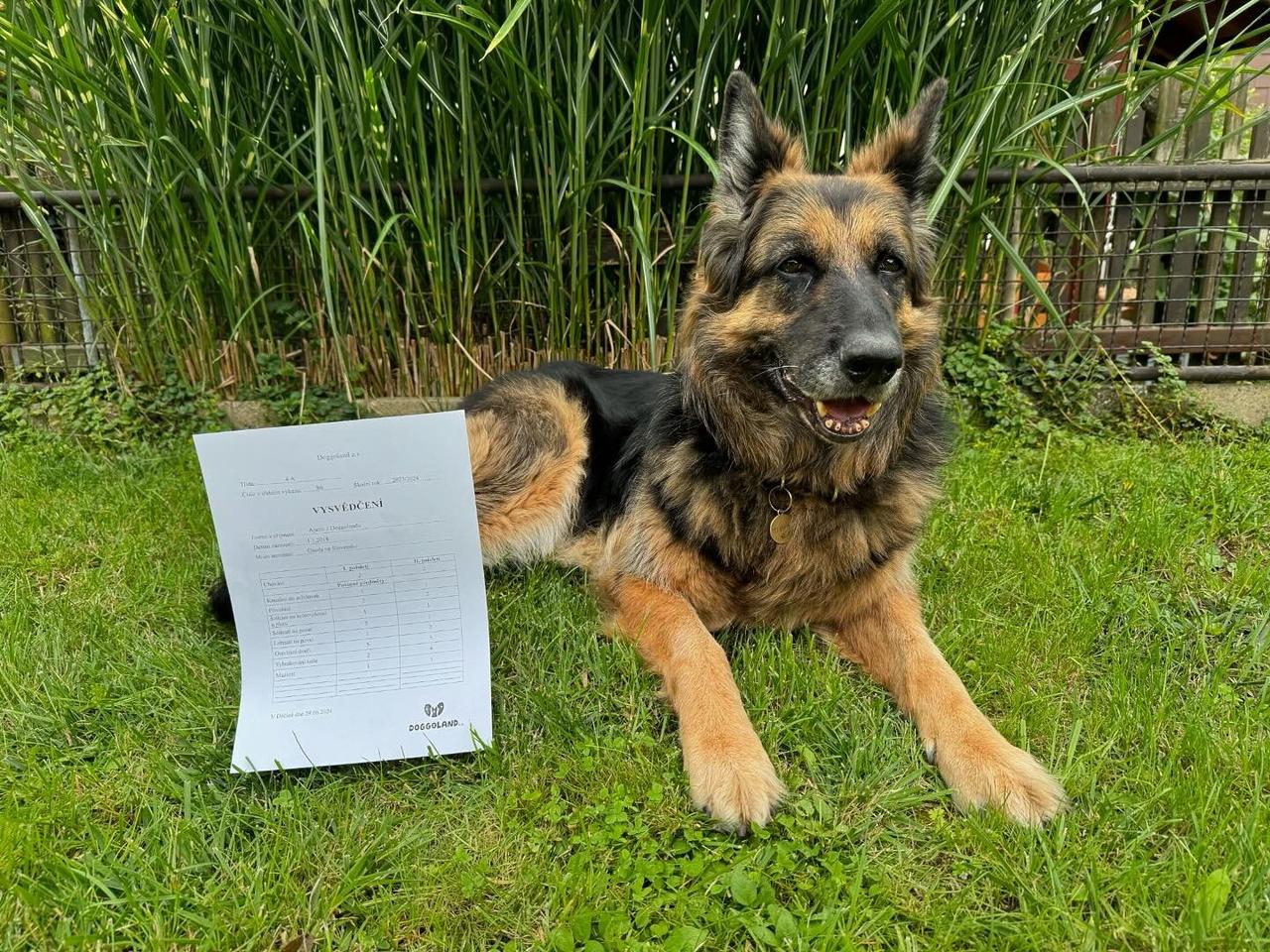 Prožila si peklo na zemi