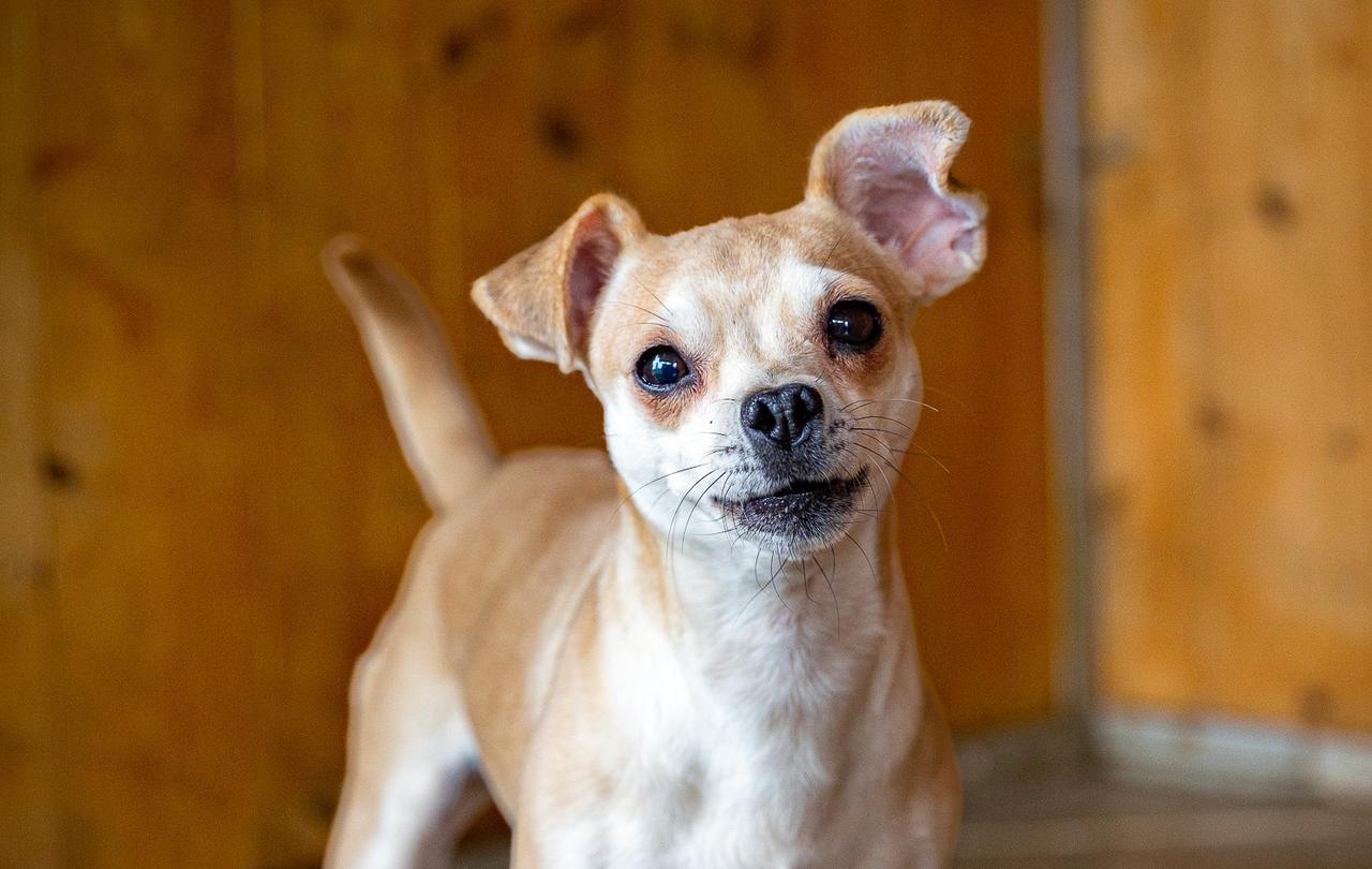 Konečně se dostala z hrozných podmínek