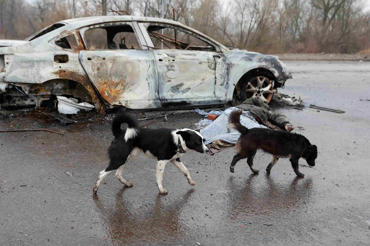 Silent Faces Suffer Too